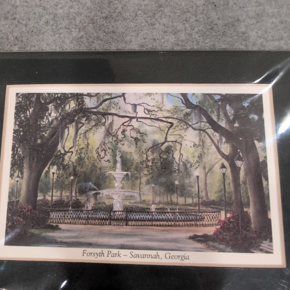 Essie DeLoach Forsyth Park Savannah Georgia Matted Art Print Fountain Scene - Picture 2 of 4